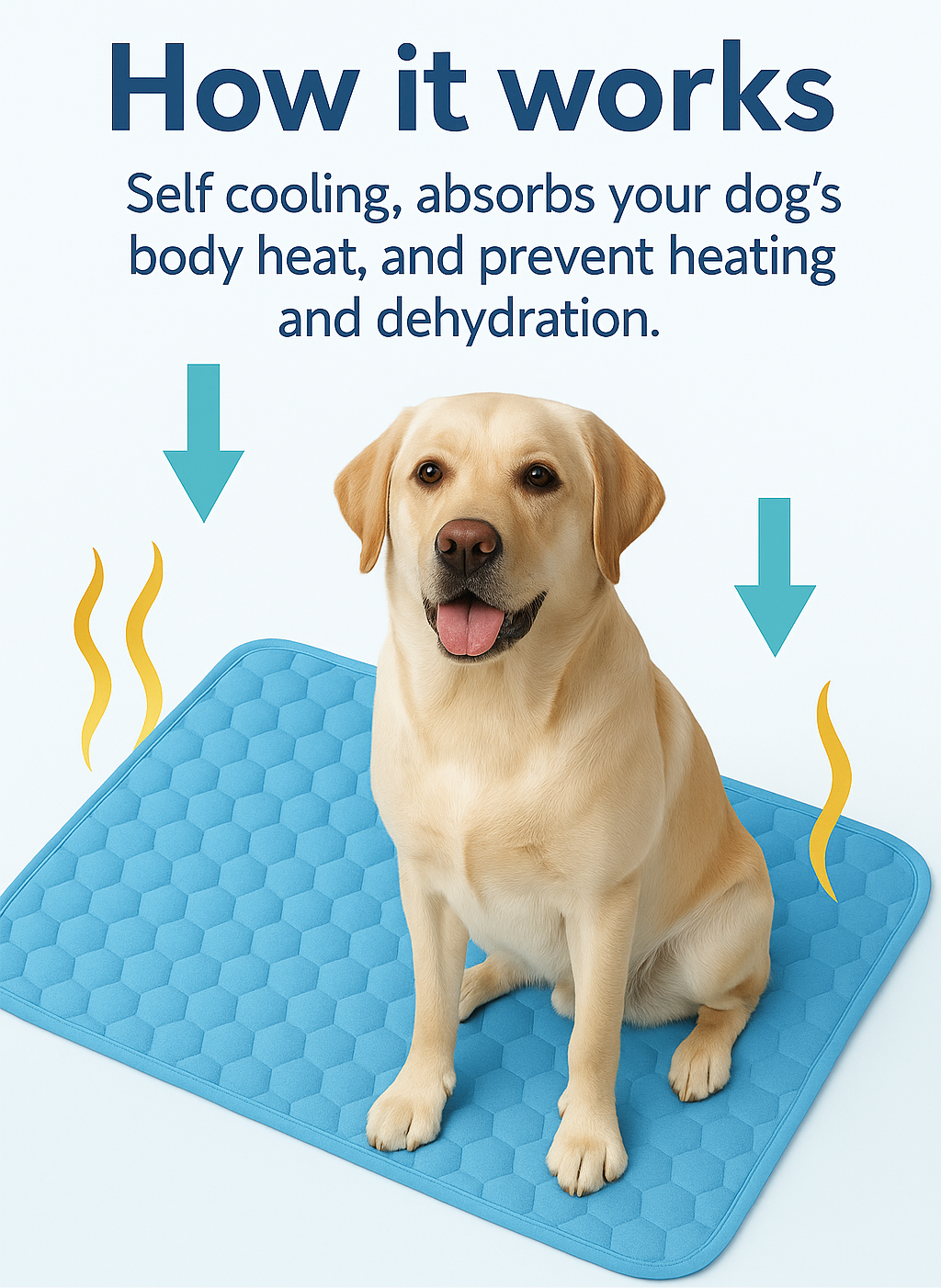 PAWIVA ThermoCool ™